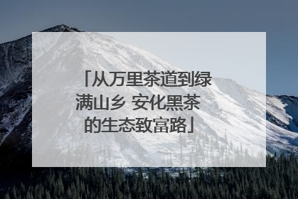 从万里茶道到绿满山乡 安化黑茶的生态致富路