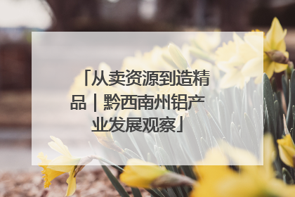 从卖资源到造精品｜黔西南州铝产业发展观察