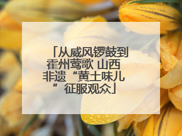 从威风锣鼓到霍州莺歌 山西非遗“黄土味儿”征服观众