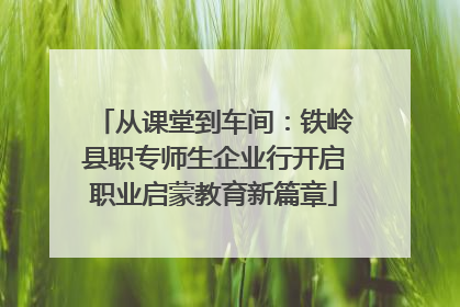 从课堂到车间：铁岭县职专师生企业行开启职业启蒙教育新篇章