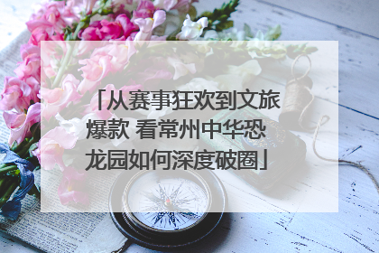从赛事狂欢到文旅爆款 看常州中华恐龙园如何深度破圈