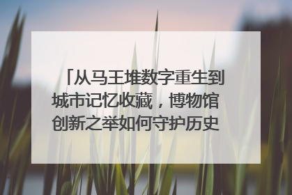 从马王堆数字重生到城市记忆收藏，博物馆创新之举如何守护历史、连接未来？