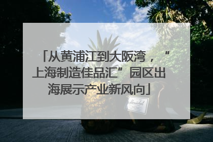 从黄浦江到大阪湾，“上海制造佳品汇”园区出海展示产业新风向