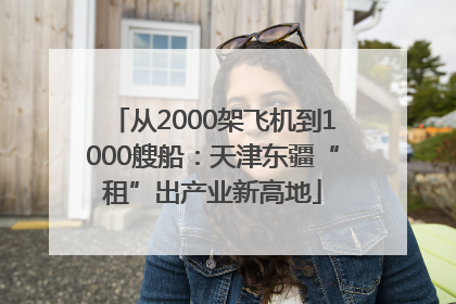 从2000架飞机到1000艘船：天津东疆“租”出产业新高地