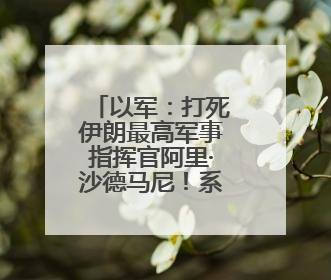 以军：打死伊朗最高军事指挥官阿里·沙德马尼！系伊朗最高领袖哈梅内伊最亲密的人之一