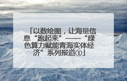 以数绘图，让海量信息“跑起来”——“绿色算力赋能青海实体经济”系列报道①