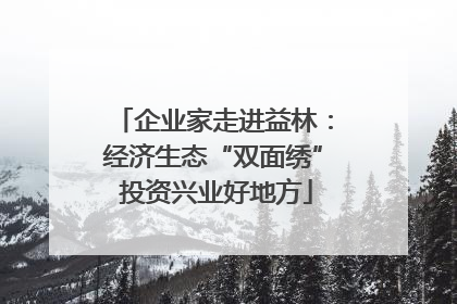 企业家走进益林：经济生态“双面绣” 投资兴业好地方