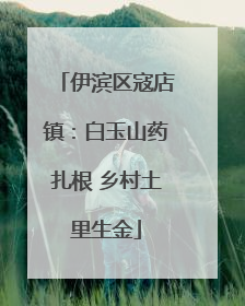 伊滨区寇店镇：白玉山药扎根 乡村土里生金