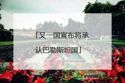 又一国宣布将承认巴勒斯坦国