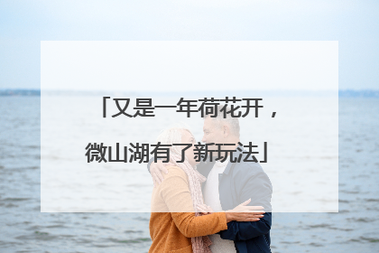 又是一年荷花开，微山湖有了新玩法