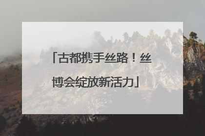 古都携手丝路！丝博会绽放新活力