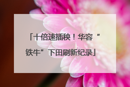 十倍速插秧！华容“铁牛”下田刷新纪录
