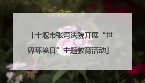 十堰市张湾法院开展“世界环境日”主题教育活动