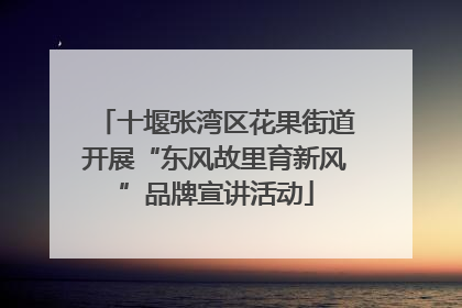 十堰张湾区花果街道开展“东风故里育新风”品牌宣讲活动