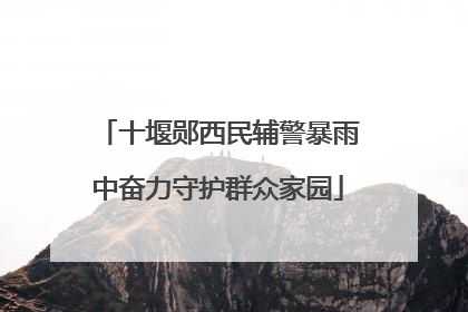 十堰郧西民辅警暴雨中奋力守护群众家园