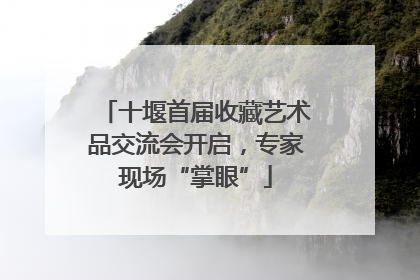 十堰首届收藏艺术品交流会开启，专家现场“掌眼”