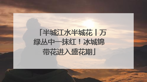 半城江水半城花丨万绿丛中一抹红！冰城锦带花进入盛花期