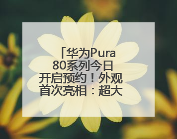 华为Pura 80系列今日开启预约！外观首次亮相：超大三角镜头模组