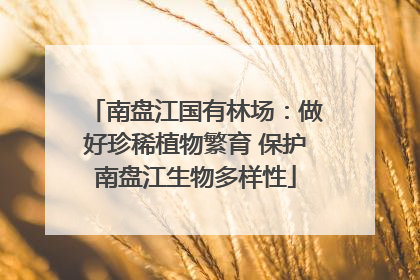 南盘江国有林场：做好珍稀植物繁育 保护南盘江生物多样性