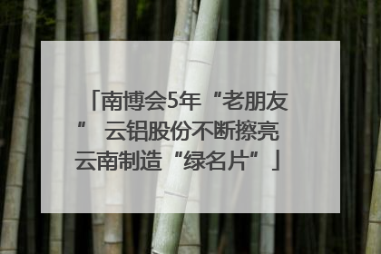 南博会5年“老朋友” 云铝股份不断擦亮云南制造“绿名片”