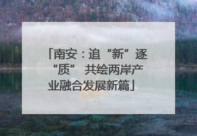 南安：追“新”逐“质” 共绘两岸产业融合发展新篇