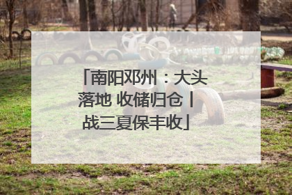 南阳邓州：大头落地 收储归仓丨战三夏保丰收