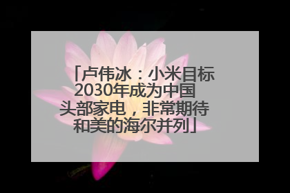 卢伟冰：小米目标2030年成为中国头部家电，非常期待和美的海尔并列
