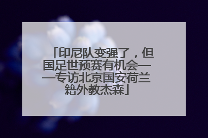 印尼队变强了，但国足世预赛有机会——专访北京国安荷兰籍外教杰森