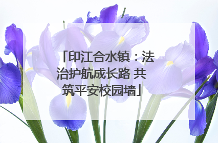 印江合水镇：法治护航成长路 共筑平安校园墙