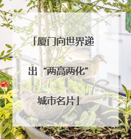 厦门向世界递出“两高两化”城市名片