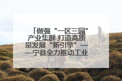 做强“一区三园”产业集群 打造高质量发展“新引擎”——宁县全力推动工业经济提质增效