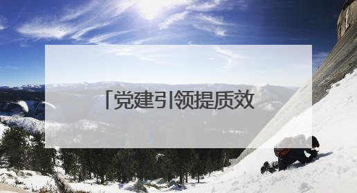 党建引领提质效 “局港联动”护航企业合规发展
