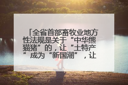 全省首部畜牧业地方性法规是关于“中华熊猫猪”的，让“土特产”成为“新国潮”，让“农产品”升格为“城市IP”