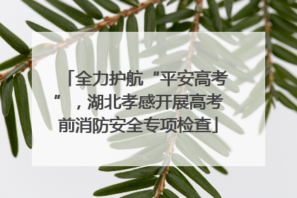 全力护航“平安高考”，湖北孝感开展高考前消防安全专项检查