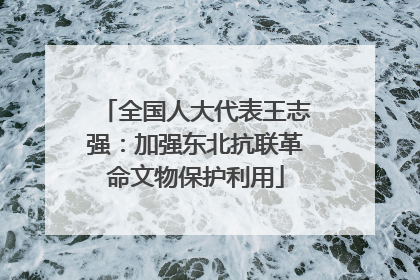 全国人大代表王志强：加强东北抗联革命文物保护利用
