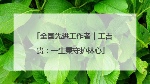 全国先进工作者｜王吉贵：一生秉守护林心