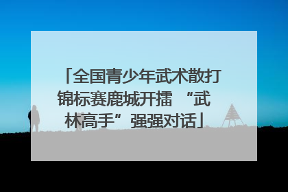 全国青少年武术散打锦标赛鹿城开擂 “武林高手”强强对话