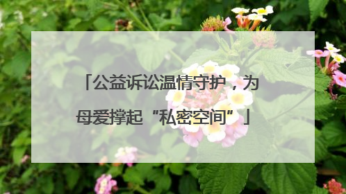 公益诉讼温情守护，为母爱撑起“私密空间”