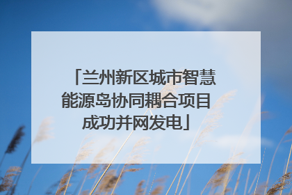 兰州新区城市智慧能源岛协同耦合项目成功并网发电