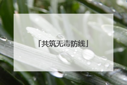 共筑无毒防线