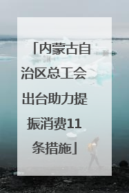 内蒙古自治区总工会出台助力提振消费11条措施