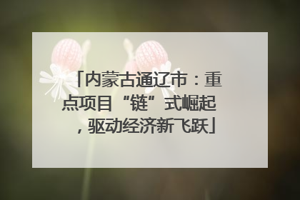 内蒙古通辽市：重点项目“链”式崛起，驱动经济新飞跃
