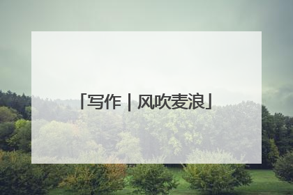 写作｜风吹麦浪