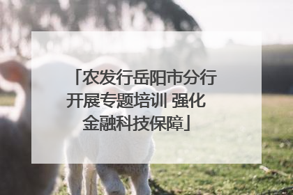 农发行岳阳市分行开展专题培训 强化金融科技保障
