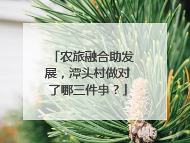农旅融合助发展，潭头村做对了哪三件事？