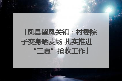 凤县留凤关镇：村委院子变身晒麦场 扎实推进“三夏”抢收工作