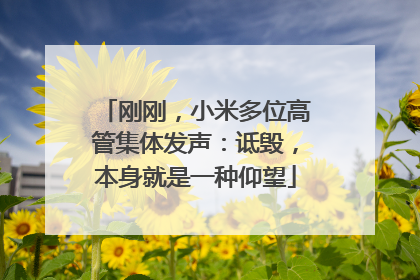 刚刚，小米多位高管集体发声：诋毁，本身就是一种仰望