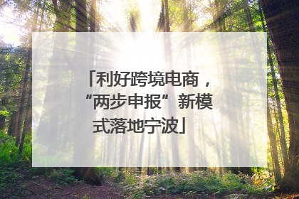 利好跨境电商，“两步申报”新模式落地宁波