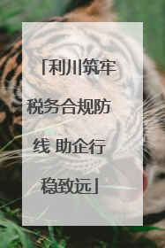 利川筑牢税务合规防线 助企行稳致远