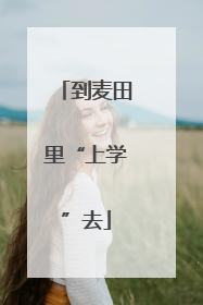到麦田里“上学”去